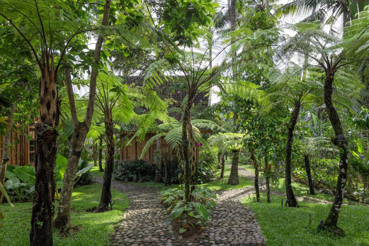 Rumah Kayu Resort Ubud  Exterior photo